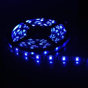 LED rope blue