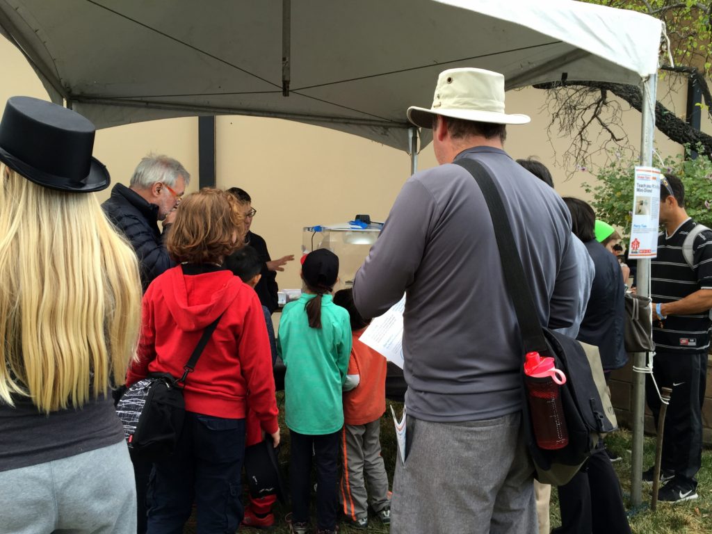 Maker Faire Bay Area 2017
