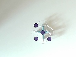 purple_day_expauto4_101