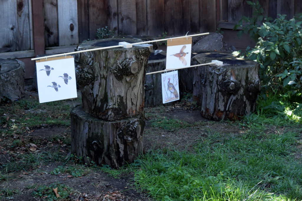 Hunting practice range, targets move when hit. Very satisfying! - Little House on the Prairie Party Ideas and Activities - MakeHardware.com