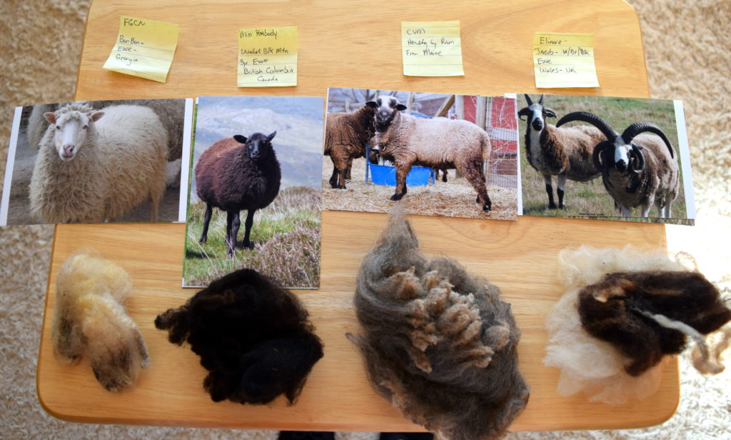 Show kids samples of raw wool from different breeds of sheep. Little House on the Prairie Party Ideas and Activities - MakeHardware.com